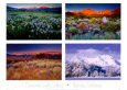 Four Seasons Art Print by Galen Rowell