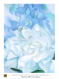 White Rose W/ Lakspur No.2 Reproduction d'art par Georgia O'Keeffe