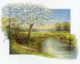 Spring at the Brook Art Print by Johan De Jong