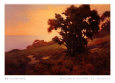 Luz dorada a la puesta de sol Lámina por Brian Blood