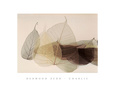 Durwood Zedd Posters