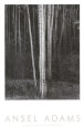 Aspens, Northern New Mexico, 1958 (Adams) ポスター