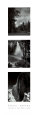 Yosemiten kansallispuisto Taidevedos tekijänä Ansel Adams