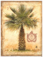 Pacific Palm Detail Lámina por Chad Barrett