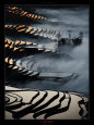 China, Yunnan Rice fields Art Print by Yann Layma