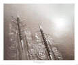 Aviron Posters
