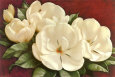 Magnolien Poster