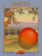 Mangoes Posters