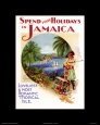 Holidays In Jamaica Art Print