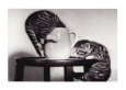 Cat Coffee Cup Twins