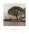 Black and White Photography Posters