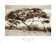 Tanzania Poster