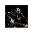 Elvis Presley Pósteres