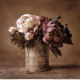 Fleurs (photographies coloriées à la main) Posters