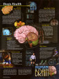 Santé du cerveau Reproduction d'art