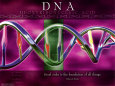 ADN