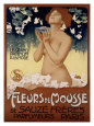 Fleur de Mousse Giclee Print by Leopoldo Metlicovitz