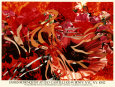 James Rosenquist Posters