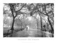 Poet's Walk, Central Park, New York City