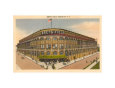 Ebbets Field Posters