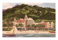 Hawaii Posters