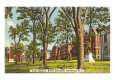 Universidades de Rhode Island Posters