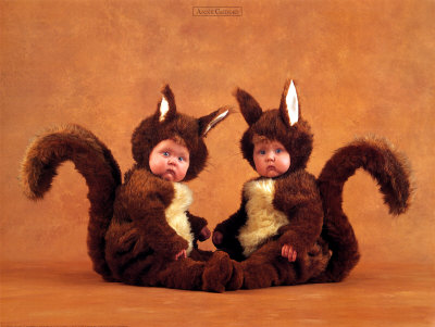 Squirrels Art Print