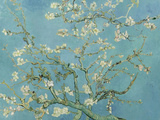Almond Blossom, 1890