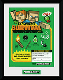 Minecraft - Survival Kit Lámina de coleccionista