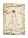 De mens van Vitruvius Kunst van Leonardo da Vinci De mens van Vitruvius Kunst van Leonardo da Vinci