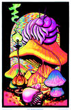 Fantasy Blacklight Posters Prints by AllPosters.co.uk