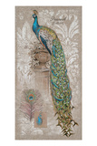 Peacock Posters at AllPosters.com