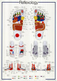 Voetreflextherapie Posters Voetreflextherapie Posters