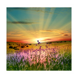 Sunset Is In The Field Schilderij van nadiya_sergey Sunset Is In The Field Schilderij van nadiya_sergey