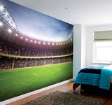 Football Stadium Wall Mural Mural de papel pintado