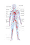 Science Charts Art Prints by AllPosters.co.uk